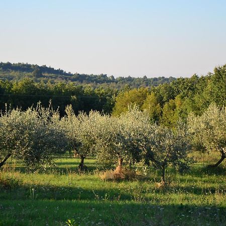 Villa Olivetta By Istrian Country Houses Барат Экстерьер фото