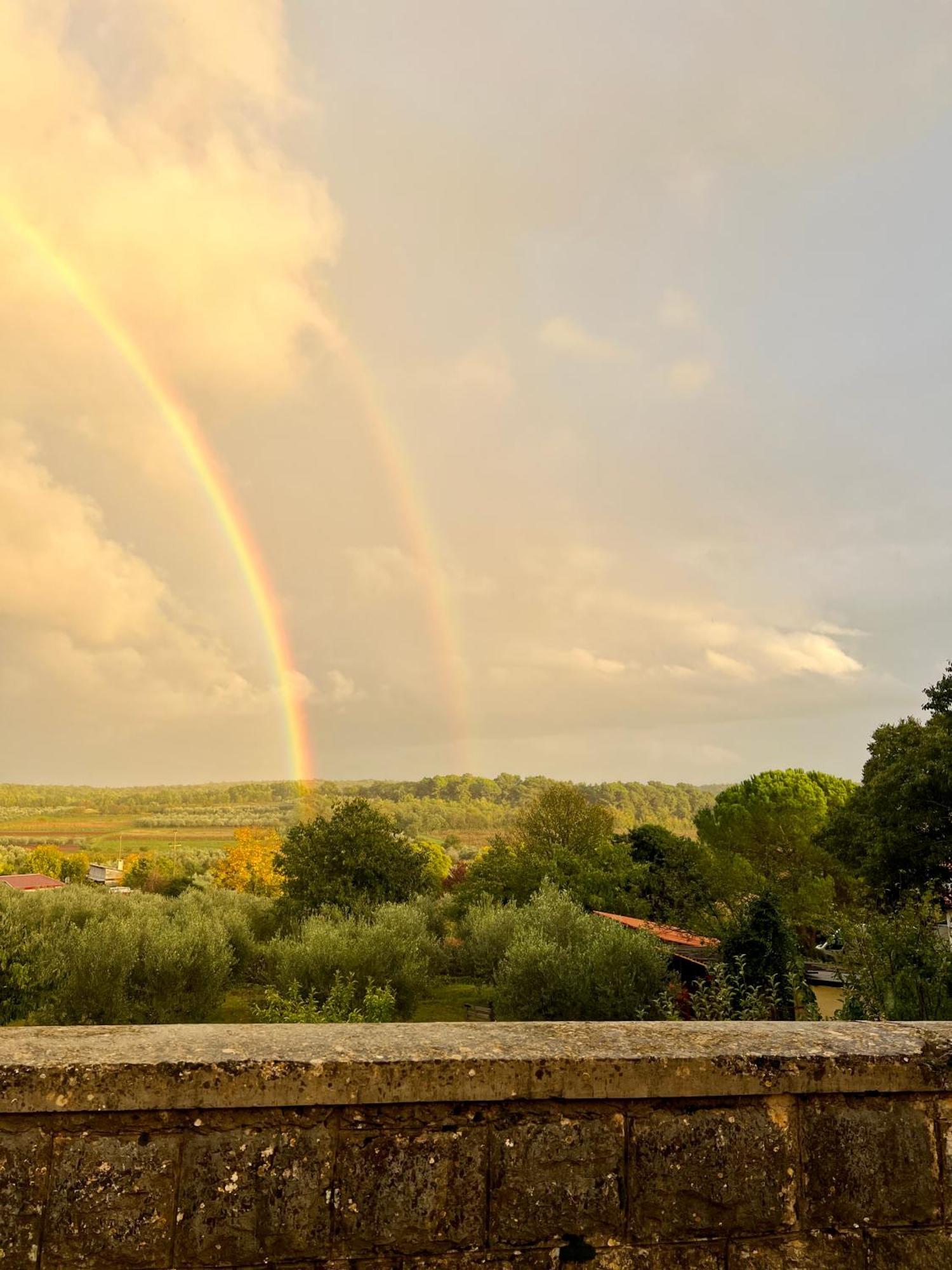Villa Olivetta By Istrian Country Houses Барат Экстерьер фото