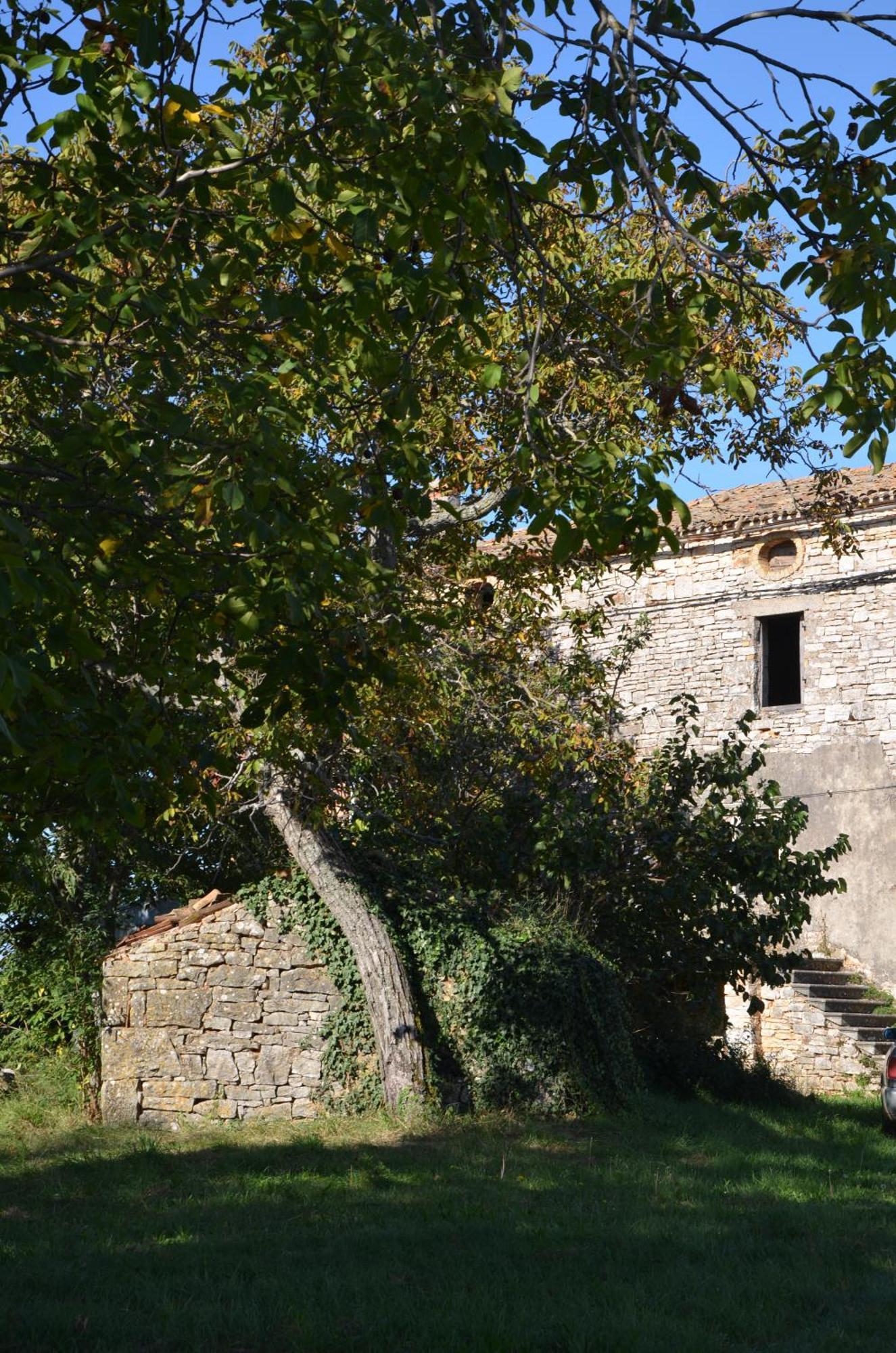 Villa Olivetta By Istrian Country Houses Барат Экстерьер фото