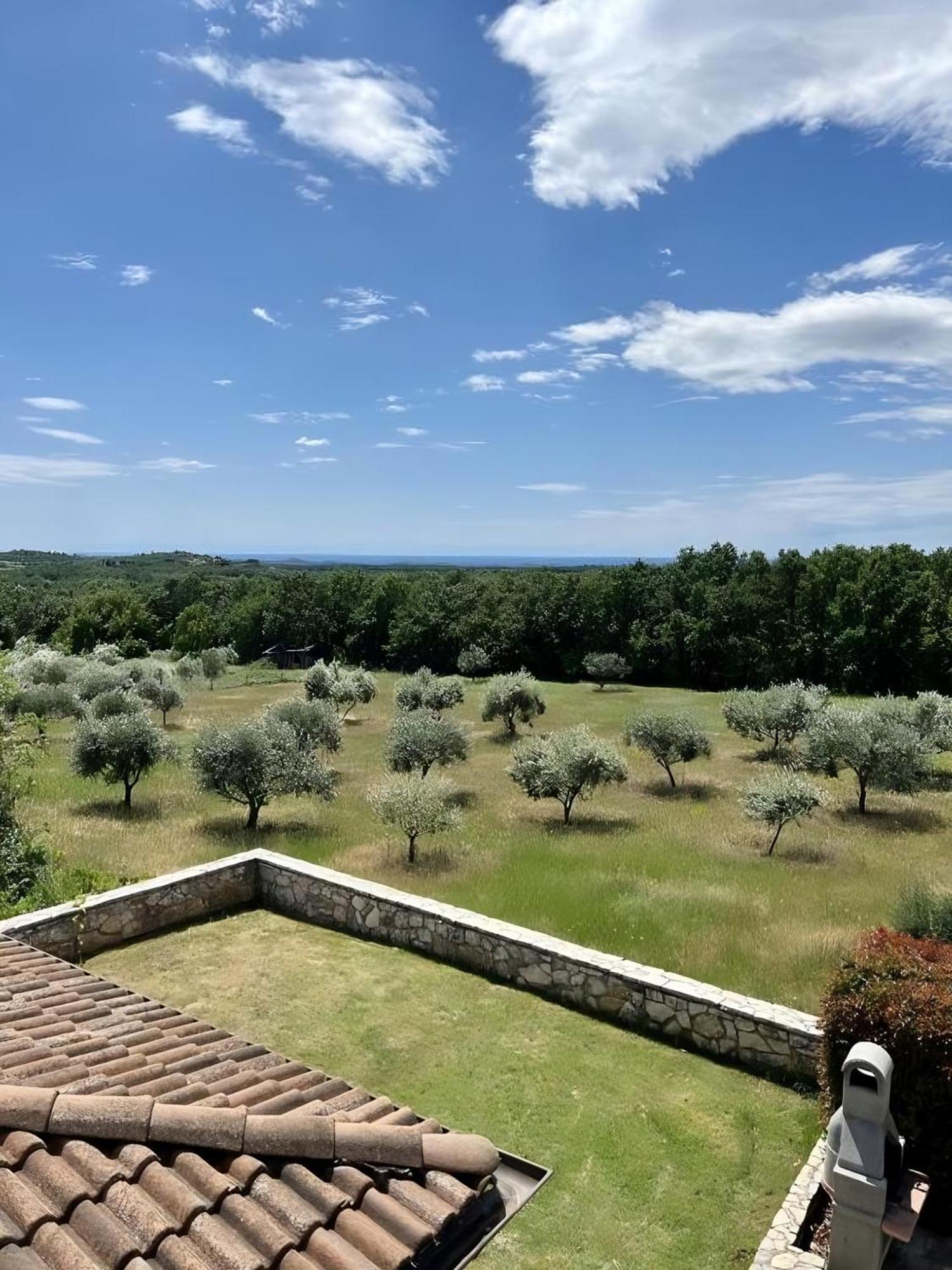 Villa Olivetta By Istrian Country Houses Барат Экстерьер фото