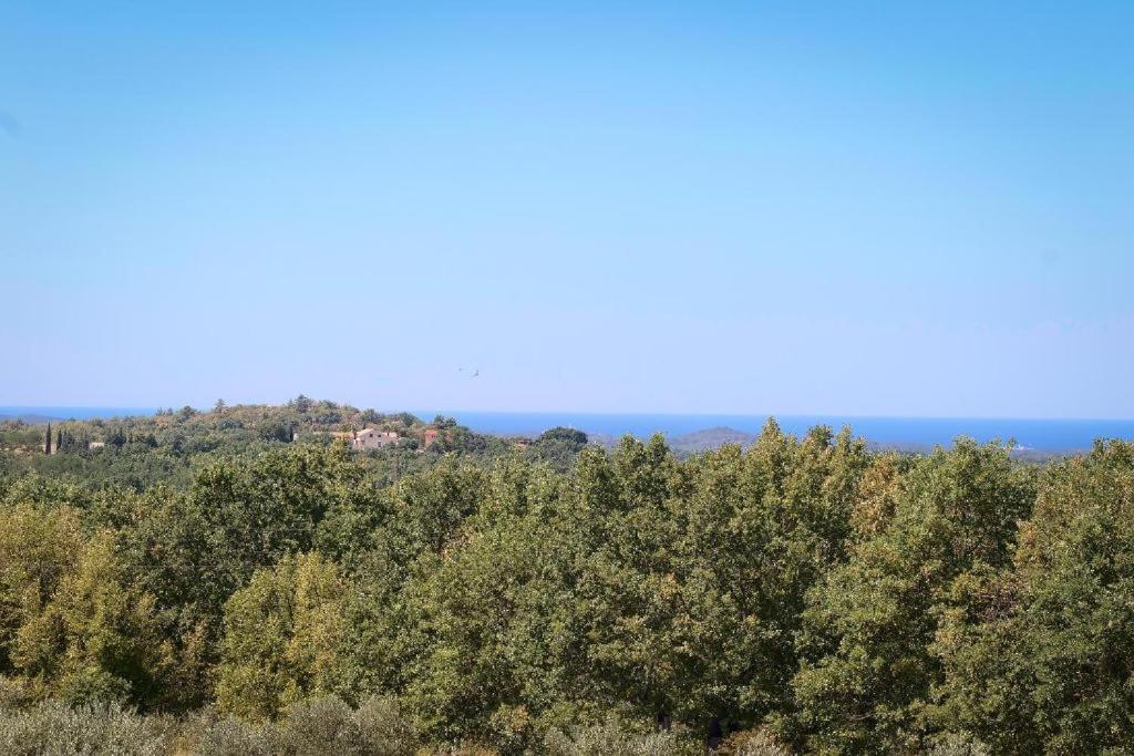 Villa Olivetta By Istrian Country Houses Барат Экстерьер фото